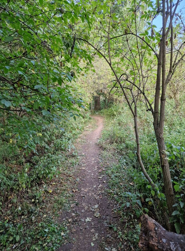 Dunbar Community Woodland Group meet up (Lochend Woods), Lochend Woods, Dunbar