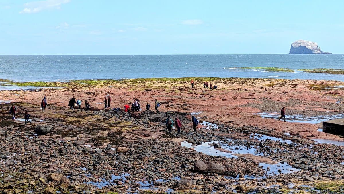 Wildlife by the Waves: Seaside Scavenger Hunt, The Scottish Seabird Centre, The Harbour, Harbour Terrace, North Berwick EH39 4SS